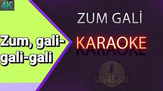 Zum Gali Gali Karaoke [upl. by Osnofledi]