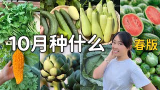 【种植91】10月种什么，最好的种菜时节，南半球春版 What to plant in October [upl. by Ketty84]