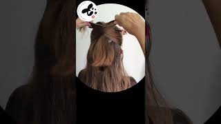 Coiffure chinoise pour cheveux mi longs hanwenshop hairtutorial chinastyle coiffurefacile [upl. by Nivre]