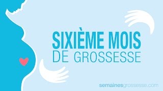 Sixième mois de grossesse  La grossesse mois par mois [upl. by Biagi]