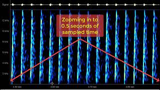 Russian 29B6 Container radar in ham 15 meter band 21311 kHz 04 November 2024 1500 UTC [upl. by Ayanej]