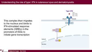 Understanding Type I IFN in Cutaneous Lupus amp Dermatomyositis Toward Better Therapeutics [upl. by Spiros]