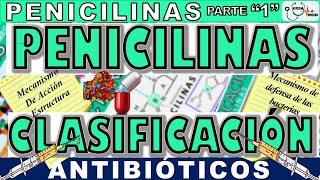 PENICILINAS CLASIFICACIÓN Y MECANISMO DE ACCIÓN  GuiaMed [upl. by Lundell]