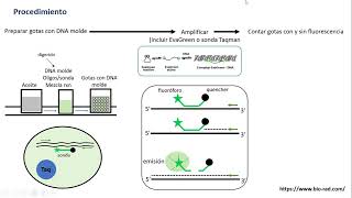 Droplet digital PCR ddPCR [upl. by Yelserp]