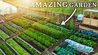 Spectacular NO DIG Garden Growing Food Abundance on a Hill [upl. by Ossy]