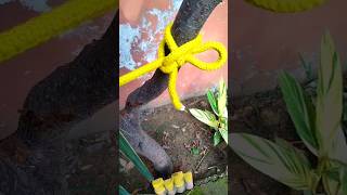 Tie Stylish Rope Knot  tie a rope knot skills [upl. by Ermengarde]