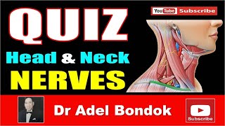 Quiz on the Head and Neck Nerves Dr Adel Bondok [upl. by Lorilyn]