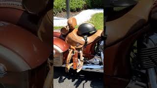 Gator Harley Davidson Leesburg FL [upl. by Juta]