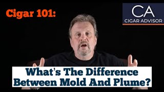 What is the Difference Between Mold and Plume  Cigar 101 [upl. by Asoral14]