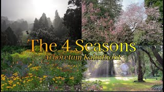 De veranderende Schoonheid van 4 Seizoenen in het Prachtige ARBORETUM KALMTHOUT drone shots 🇧🇪 4K [upl. by Nyraf]