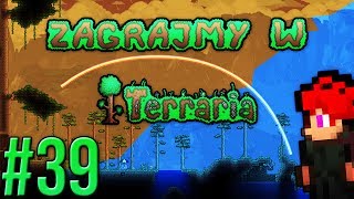 Zagrajmy w Terraria 39  Podsumowanie 12 [upl. by Einnos]