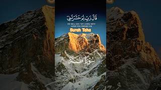 Beautiful Quran Recitation Surah Taha سورة طٰہ [upl. by Marisa]