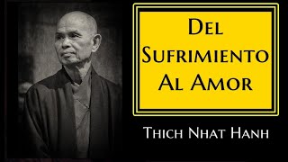 💖DEL SUFRIMIENTO AL AMOR 💖 Thich Nhat Hanh [upl. by Anniken108]