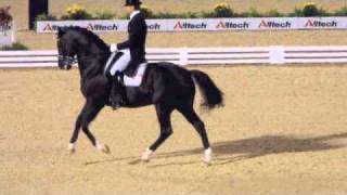 Edward Gal amp Moorlands Totilas at 2010 World Equestrian Games dressage freestyle finals [upl. by Kanter]