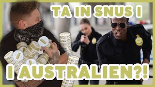 KÖPA SNUS TILL AUSTRALIEN ALLT DU BEHÖVER VETA [upl. by Yrreg335]