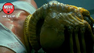 Facehugger Scene  Alien 1979  4K Movie Clip [upl. by Kered]