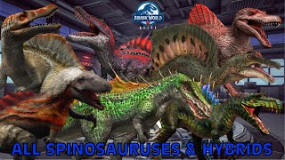 All Spinosauruses amp Hybrids  Jurassic World Alive [upl. by Fariss924]