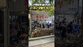 대구에 이런 곳이 산책로 옆에서 즐기는 낮술의 성지 [upl. by Senn]