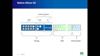 Troubleshooting GC with Intorscope Part 1 [upl. by Dominick]