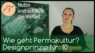 Wie geht Permakultur Designprinzip Nr 10  Nutze und schätze die Vielfalt [upl. by Iad]