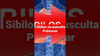 Ausculta Pulmonar SIBILOS [upl. by Eivlys]