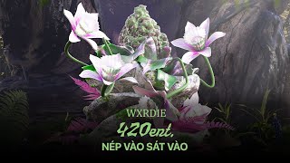 Wxrdie  NÉP VÀO SÁT VÀO prod Nick Schmidt [upl. by Winwaloe]