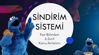 Sindirim Sistemi 1  Fen Bilimleri 6Sınıf Konu Anlatımı [upl. by Bari752]