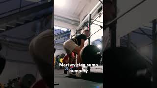 Powrót do martwego ciagu sumo deadlift [upl. by Willabella727]