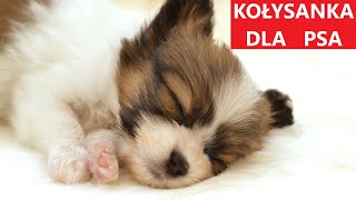 KOŁYSANKA DLA PSA  Muzyka Relaksacyjna Dla Psów  GŁĘBOKI SEN 💤 [upl. by Swane228]