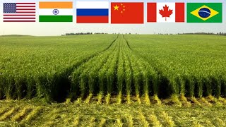 TOP 10 Countries with the most arable land in the world [upl. by Gherardo996]