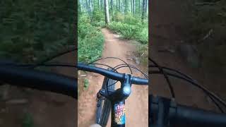 Springboard at alsea falls oregon mtb mountainbike shorts gopro bike mtbking mtblife [upl. by Kylynn]