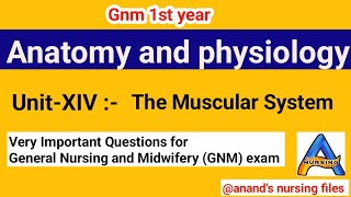 Gnm 1st year Anatomy amp physiology UnitXIV Muscular System QuestionsGnm first year Ana amp Physio [upl. by Tihor]