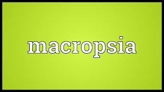 Macropsia Meaning [upl. by Maurreen]