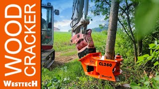 Holzschneidkopf Woodcracker CL260 – kompakt und kräftig [upl. by Dibb]