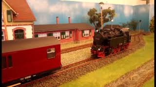 Ausstellung AMC Bernburg 01 11 2024 durch GartenbahngruppeFam Blencke [upl. by Korten559]