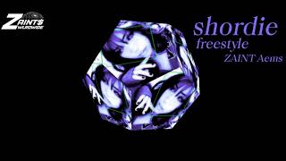 ZAINT Aems  shordie freestyle [upl. by Aihseyn]