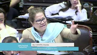 Diputada Camaño Graciela  Sesión 04042019  CP [upl. by Kayle]