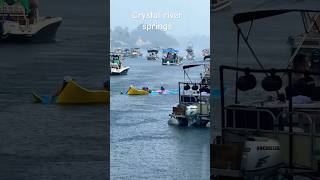 Explore Crystal river by boating crystalriver travel shorts shortsviral [upl. by Nabatse]