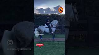 delmoromeenamoro ccc equine horse caballos cavalo viralvideo viralshorts viralreels [upl. by Sibel]