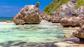 Tropical Beach Primalhouse Music quotEarth Prithiviquot relax music [upl. by Azpurua]