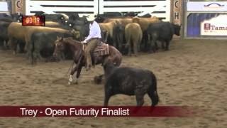 SDP Buffalo Ranch Australia 2013 NCHA Futurity [upl. by Adnamra]