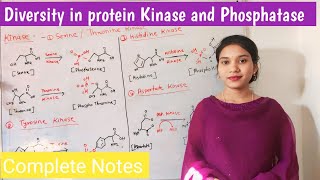 diversity in protein kinase and phosphatase  types and function of kinase and phosphatase  Hindi [upl. by Ylsel941]