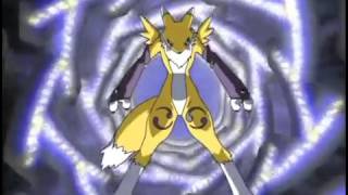 Renamon Digivolve To Kyubimon English Dubbed [upl. by Sosna826]