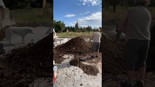 Preparing a biodynamic compost pile organicfarming biodynamicfarming [upl. by Eicirtap]