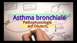 Asthma bronchiale Pathophysiologie [upl. by Airegin]