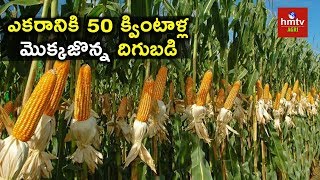 Maize Farming  Innovative Farmer Shares Experiences  hmtv Agri [upl. by Eiram478]