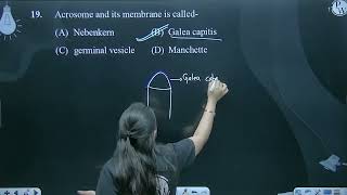 Acrosome and its membrane is called [upl. by Susejedesoj161]