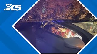 UW student walks away unharmed after tree falls on car [upl. by Akinahs]