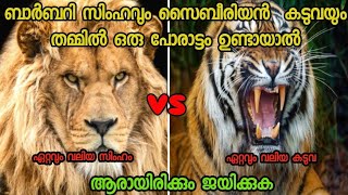 Barbary lion vs siberian tiger  ലോകത്തിലെ ഏറ്റവും വലി സിംഹവും ഏറ്റവും വലിയ കടവയും തമ്മിൽ പോരാട്ടം [upl. by Madge586]