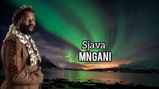 Sjava  Mngani  lyrics [upl. by Kremer910]